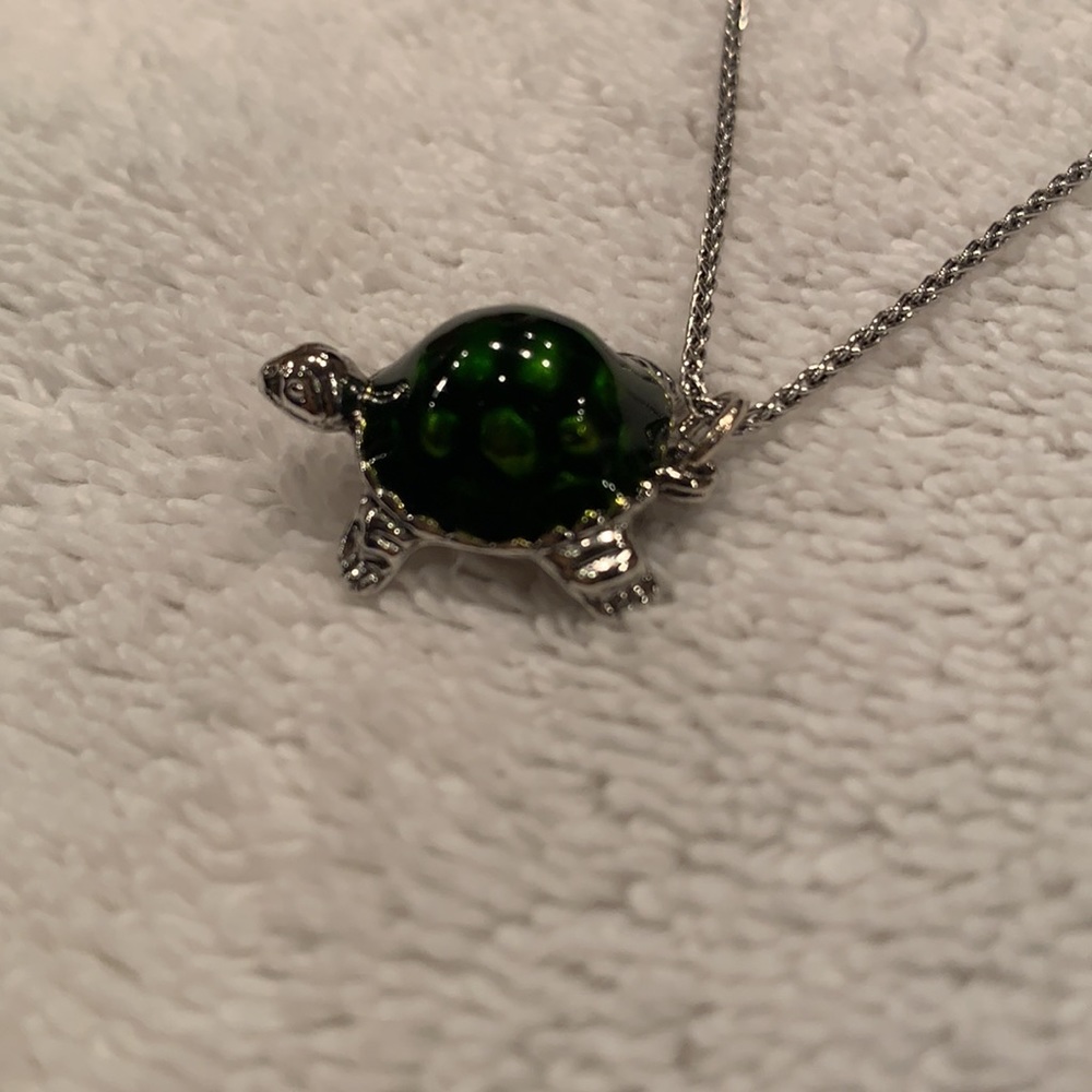 Turtle necklace - Picture 4 of 4